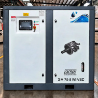 Безмасляный компрессор GMP GM 75-8 WI VSD