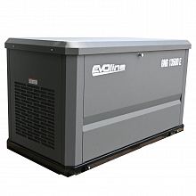Генератор газовый EVOline GNG 13500 E — фото 8